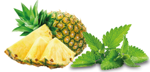 natural fruit abacaxi hortela