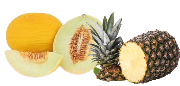 natural fruit abacaxi melao