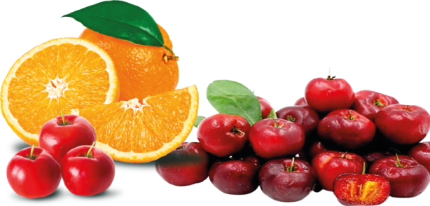 natural fruit acerola laranja