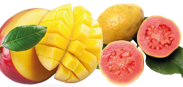 natural fruit goiaba manga