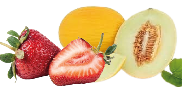 natural fruit melao morango