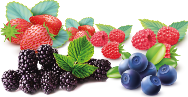 Natural Fruit - Frutas Vermelhas