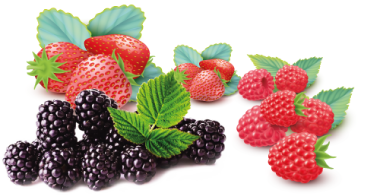 Natural Fruit - Frutas Vermelhas