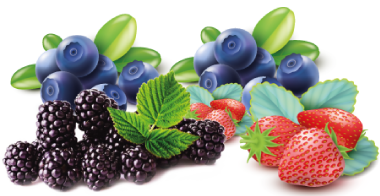 Natural Fruit - Frutas Vermelhas