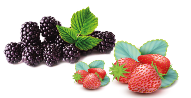 naturalfruit mix4